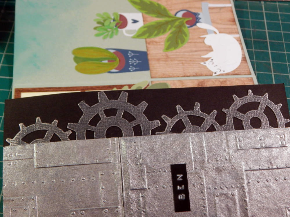 Plants and cats card teaser