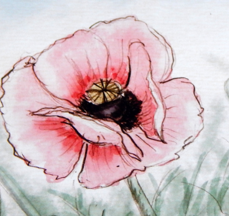 Poppy drawing detail