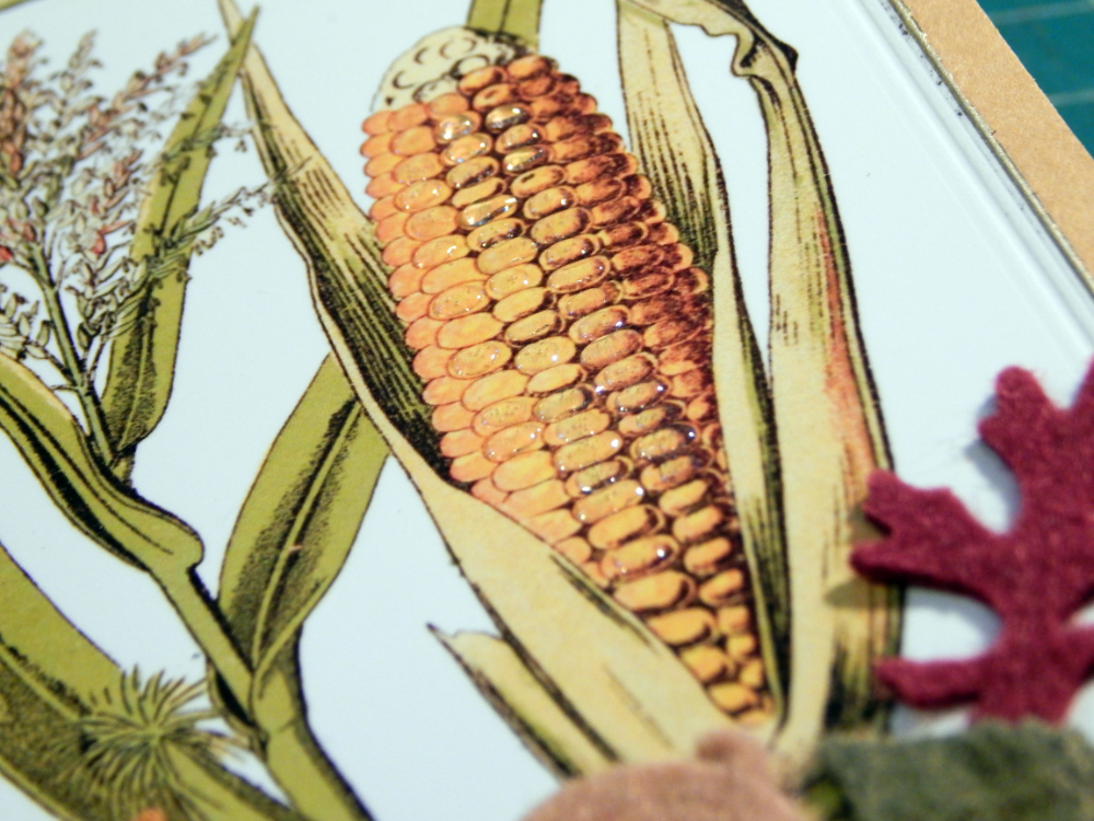 Dimensional corn accents