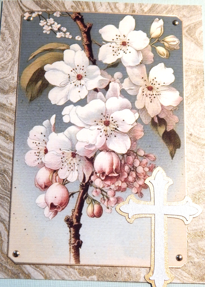 Cherry blossom image