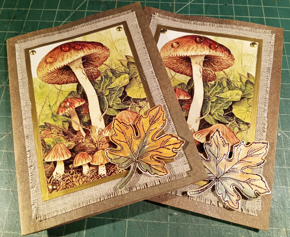 Mushroom cards