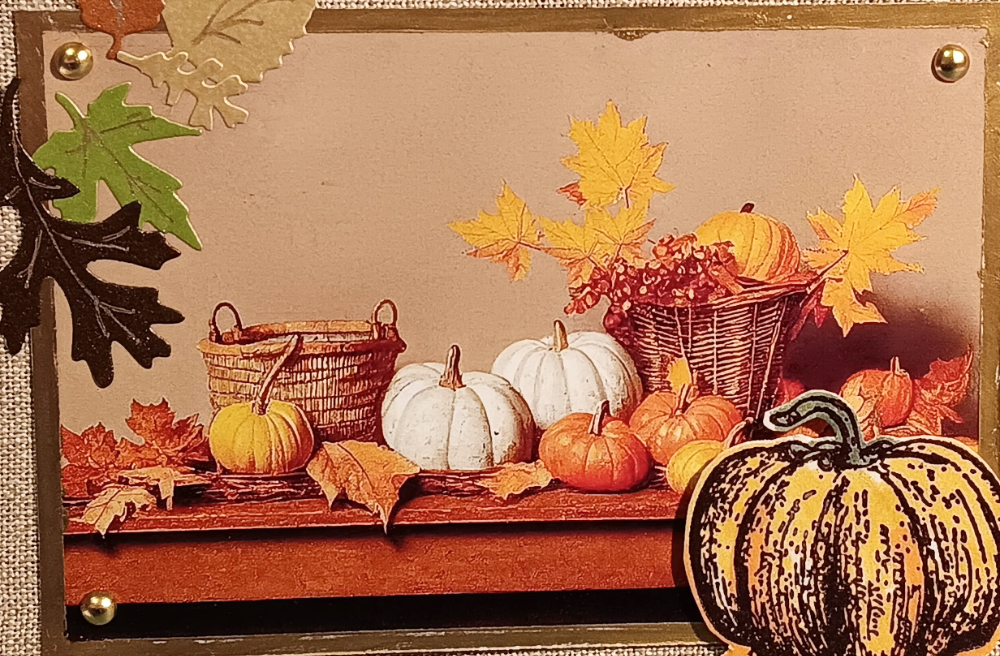 Pumpkin still life image